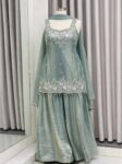 punjabi tarditional party wear suit